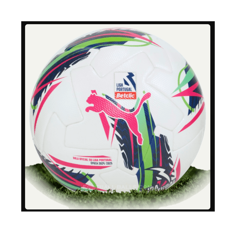 Ballkit basic für Puma Ball - Nr. 2 Balldicht für Puma Ball